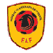 Federação Angolana de Futebol Logo